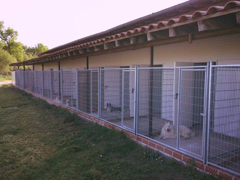 residencia canina gipuzkoa instalaciones